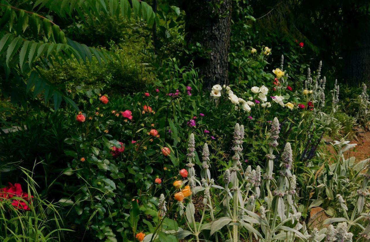 Maramuresul Stravechi Budeşti Esterno foto