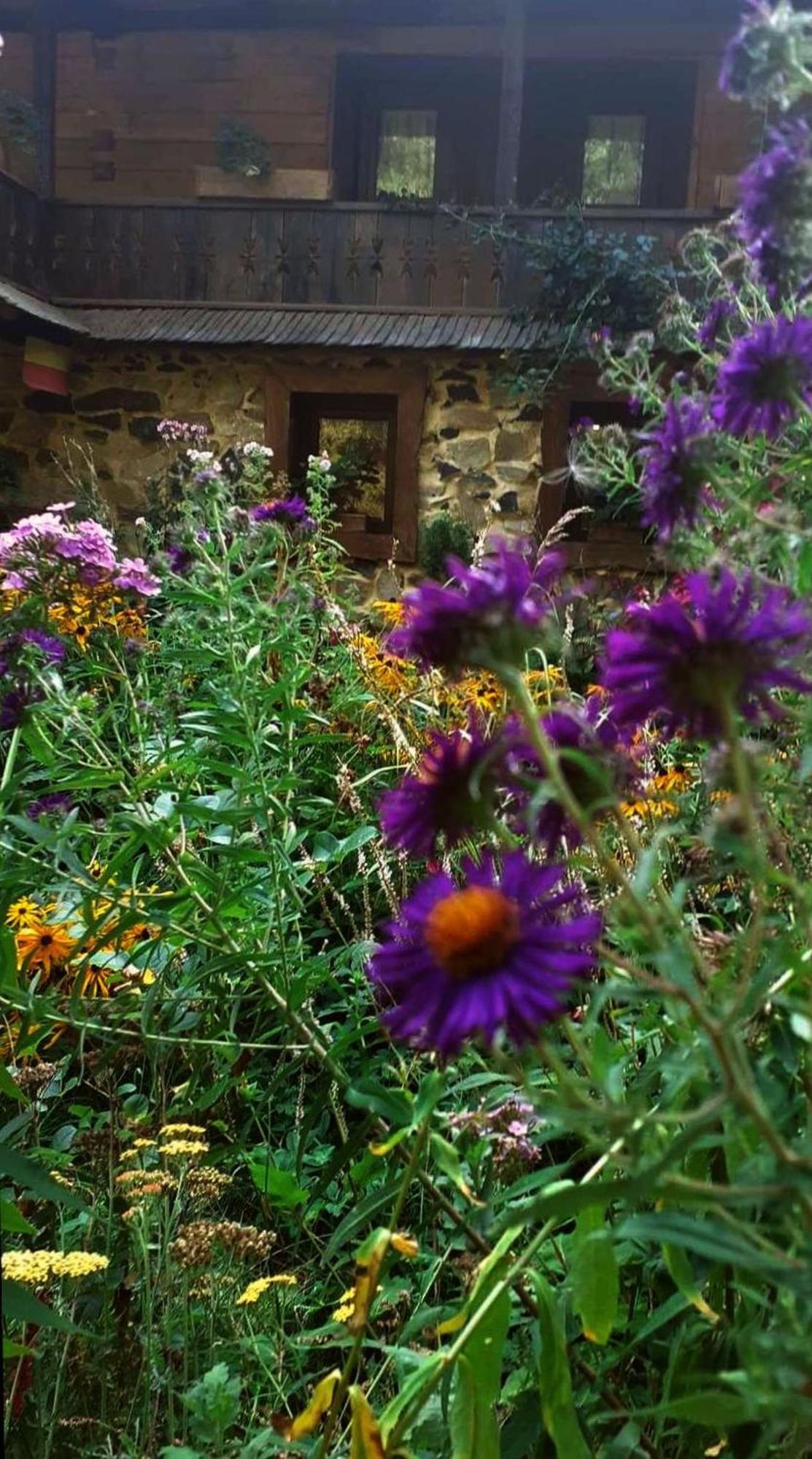 Maramuresul Stravechi Budeşti Esterno foto