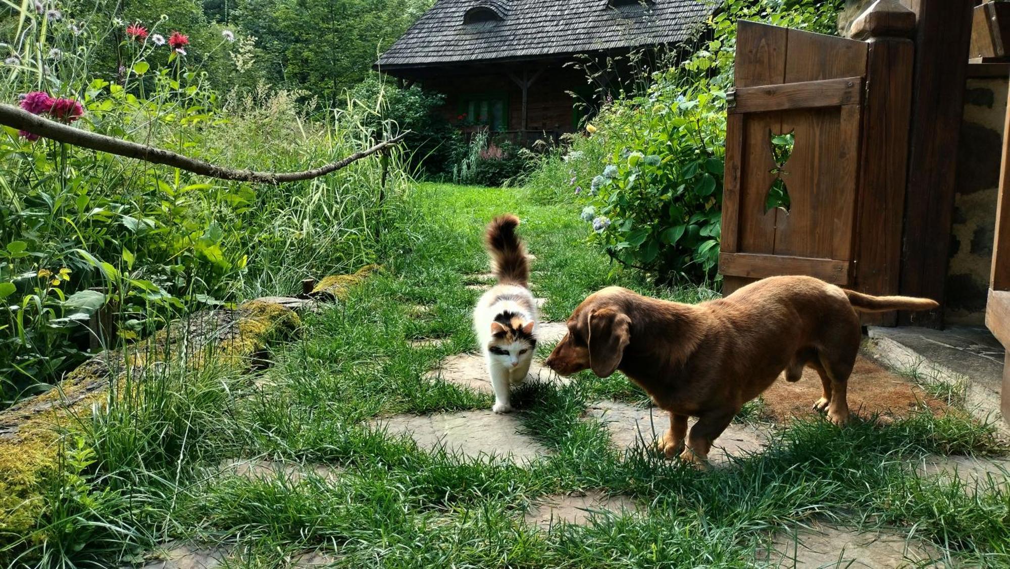 Maramuresul Stravechi Budeşti Esterno foto
